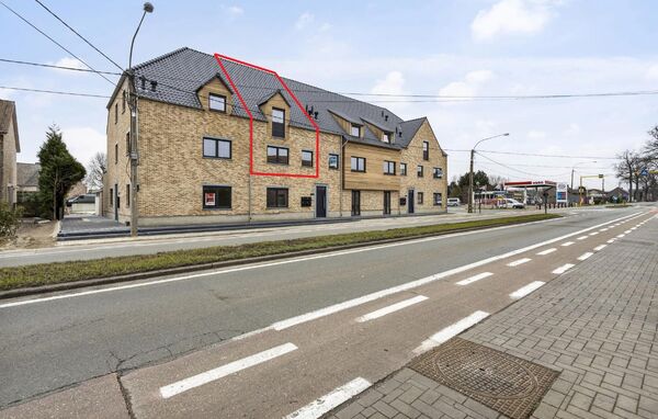 Duplex te huur in Kinrooi