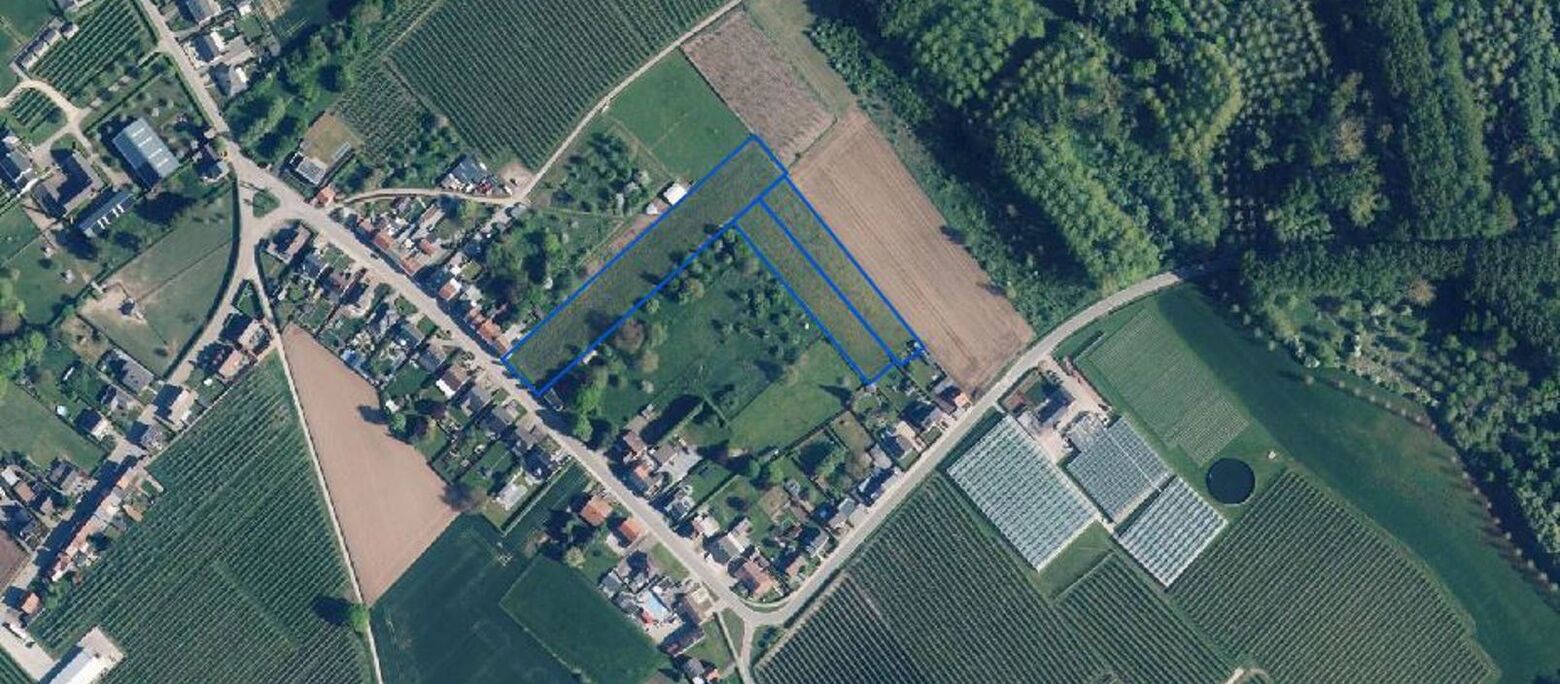 Grond te koop in Heers