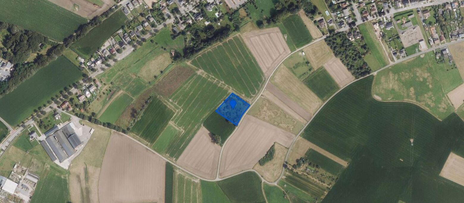 Landbouwgrond te koop in Maaseik
