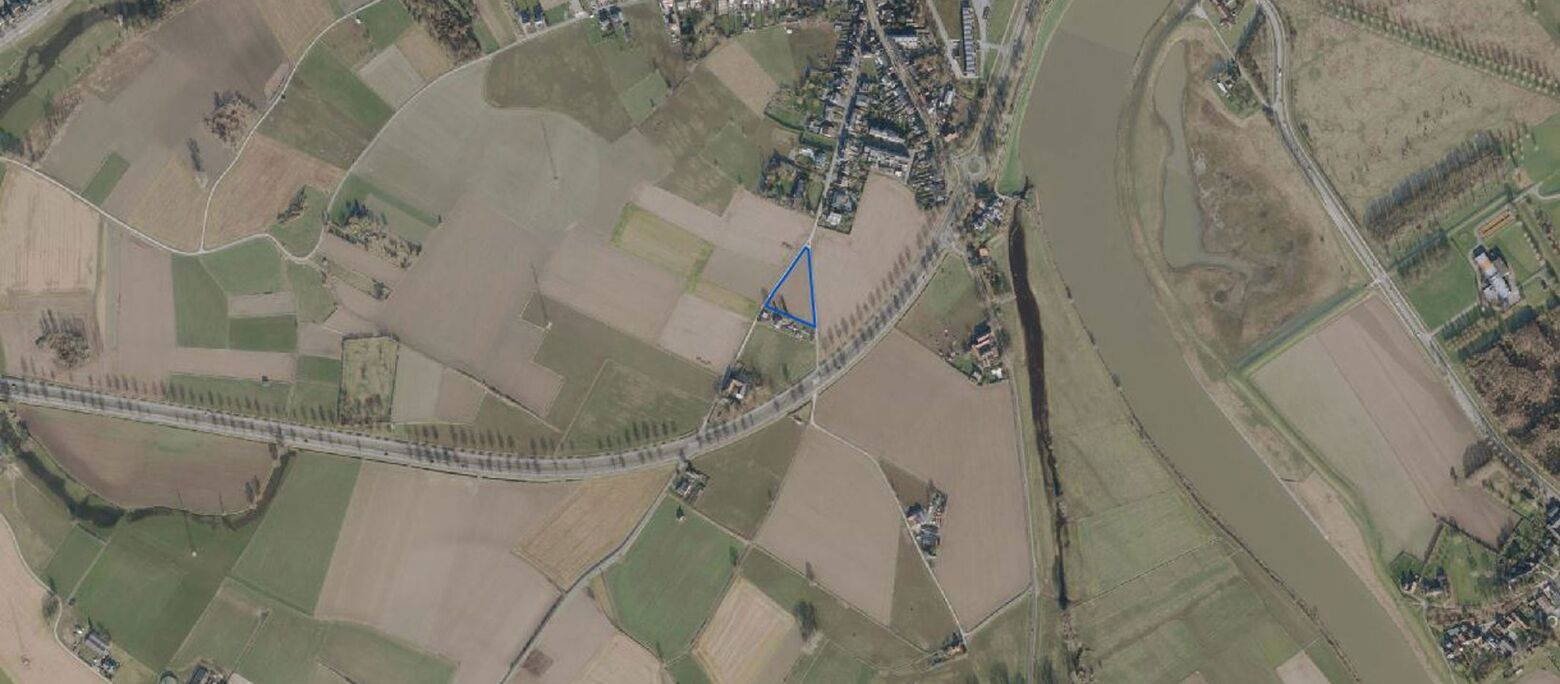 Landbouwgrond te koop in Maaseik